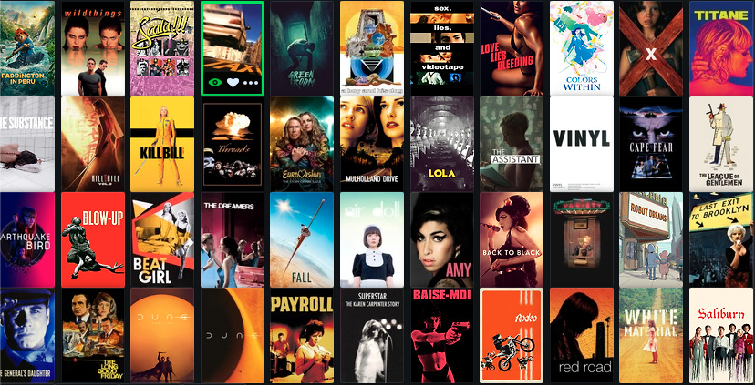 A grid showing poster images for the movies I watched in 2024